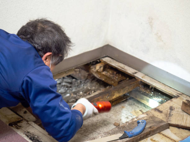 Best Residential Mold Remediation in Lemoore Station, CA