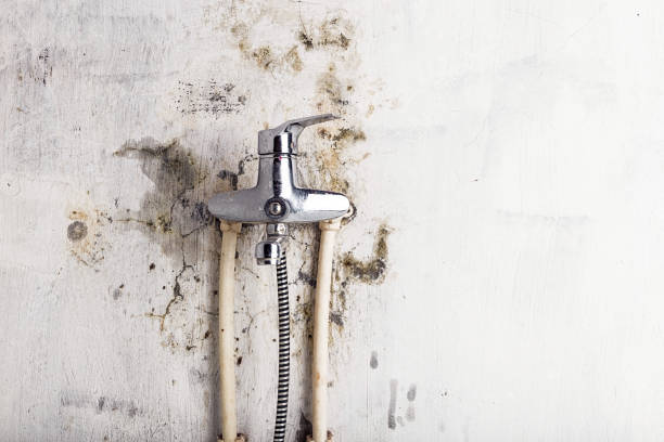 Best Industrial Mold Remediation in Lemoore Station, CA