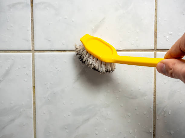 Best Post-Remediation Services in Lemoore Station, CA