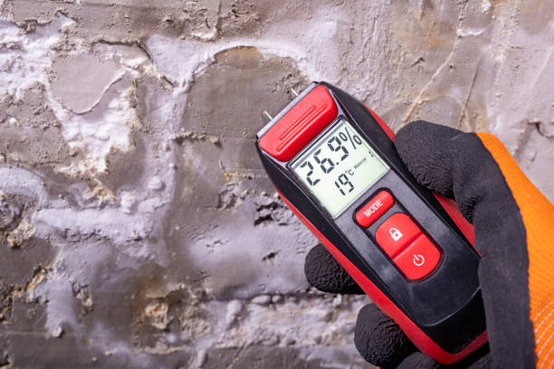 Best DIY Mold Remediation Support Services in Lemoore Station, CA