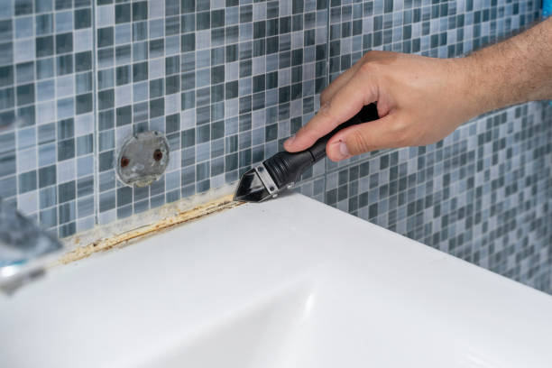 Best White Mold Remediation in Lemoore Station, CA